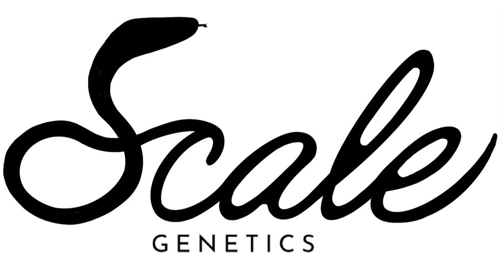 Scale Genetics 